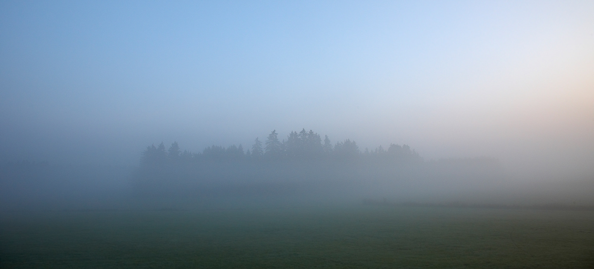 Morgenstimmung im Moor