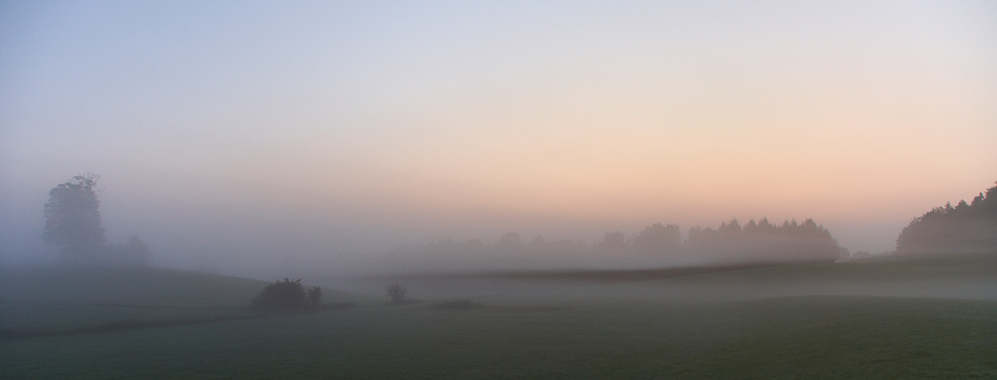 Morgenstimmung im Moor