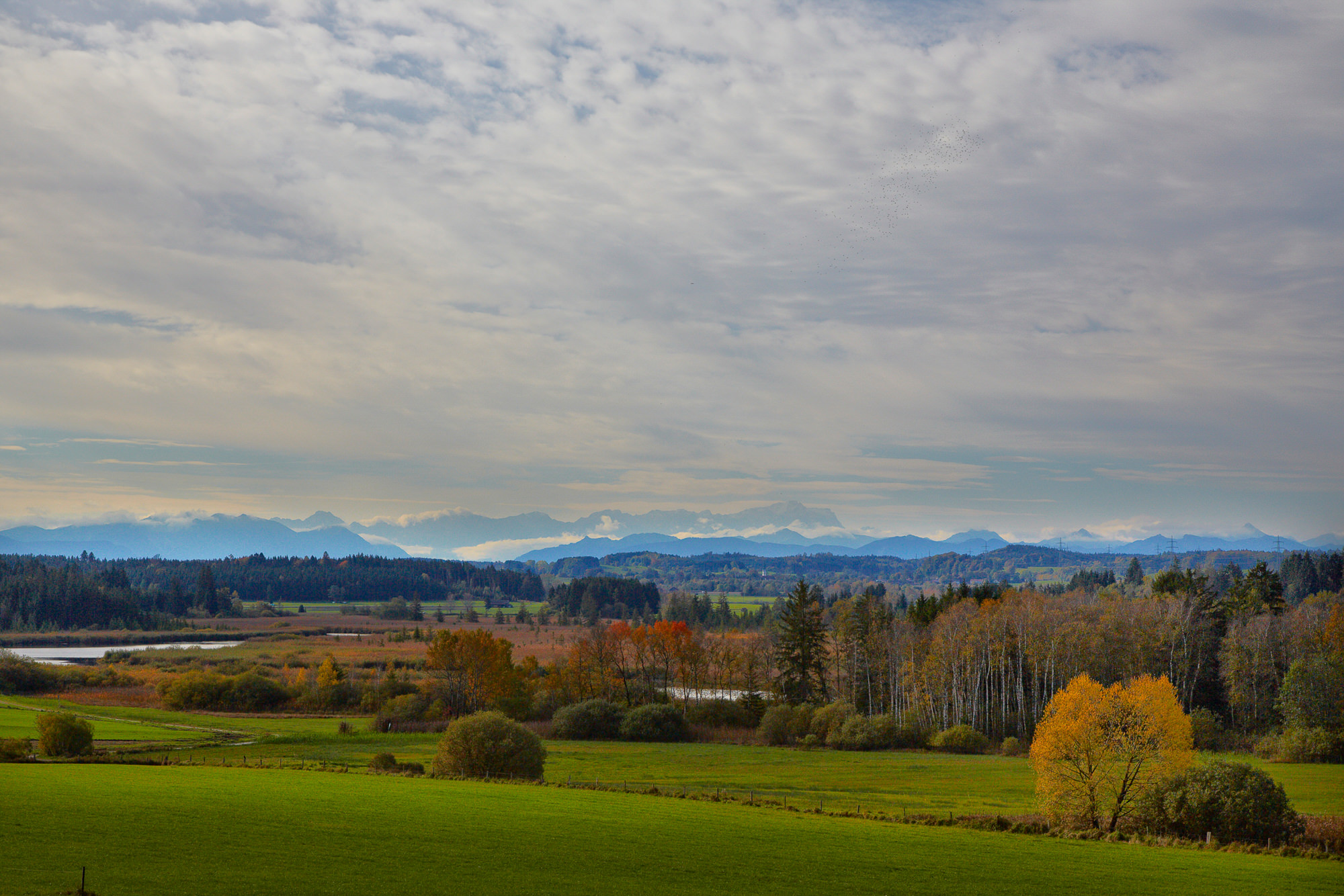 Herbeststimmung am Maisinger See, Starnberg