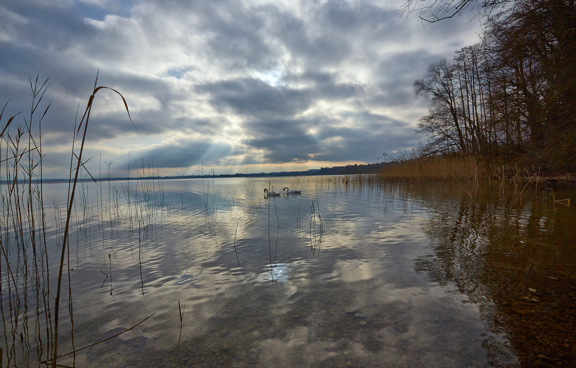 Starnberger See im Januar
