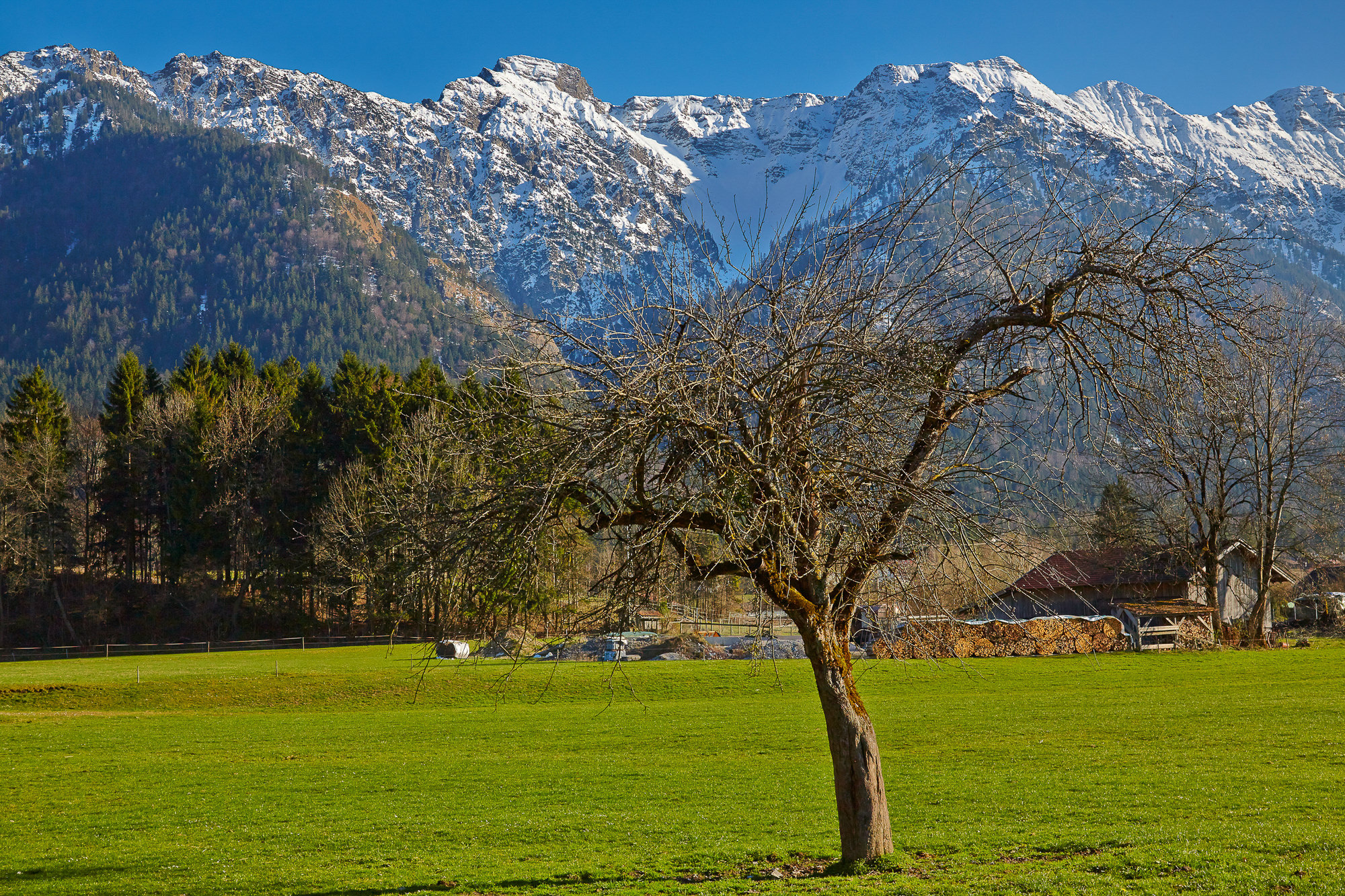 Frühling im Estergebirge bei Eschenlohe