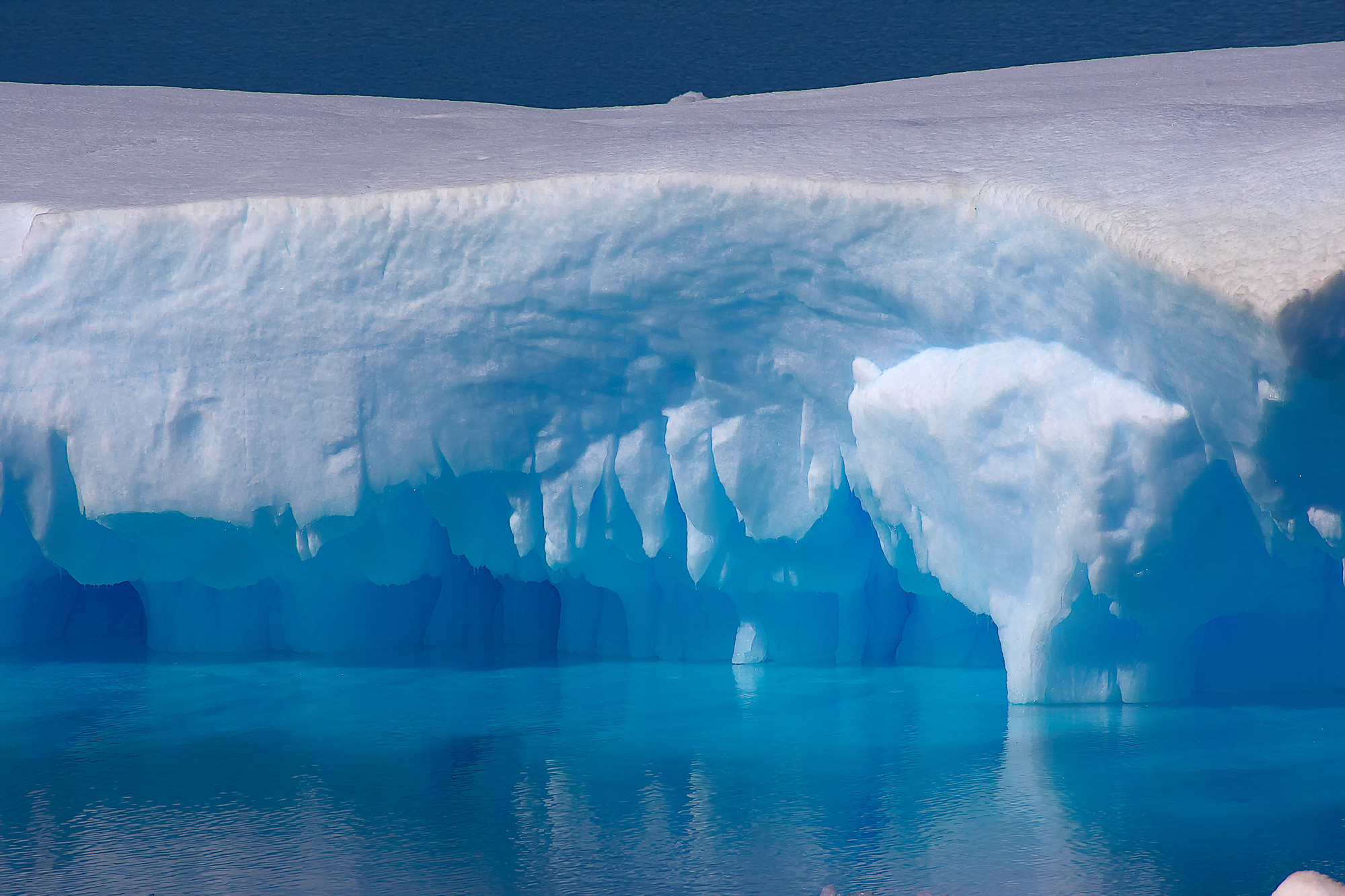 iceberg in the Antarctic Sound