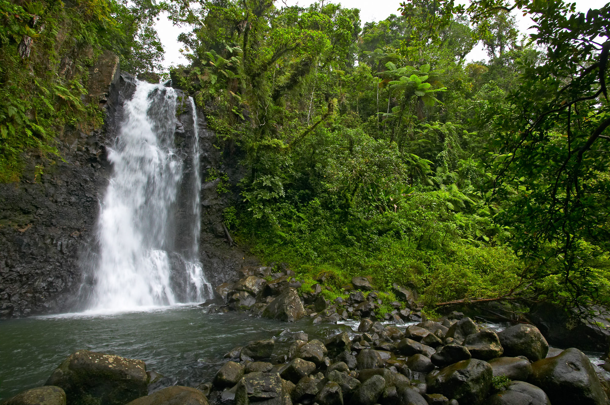 waterfall in the Taveuni rainforest