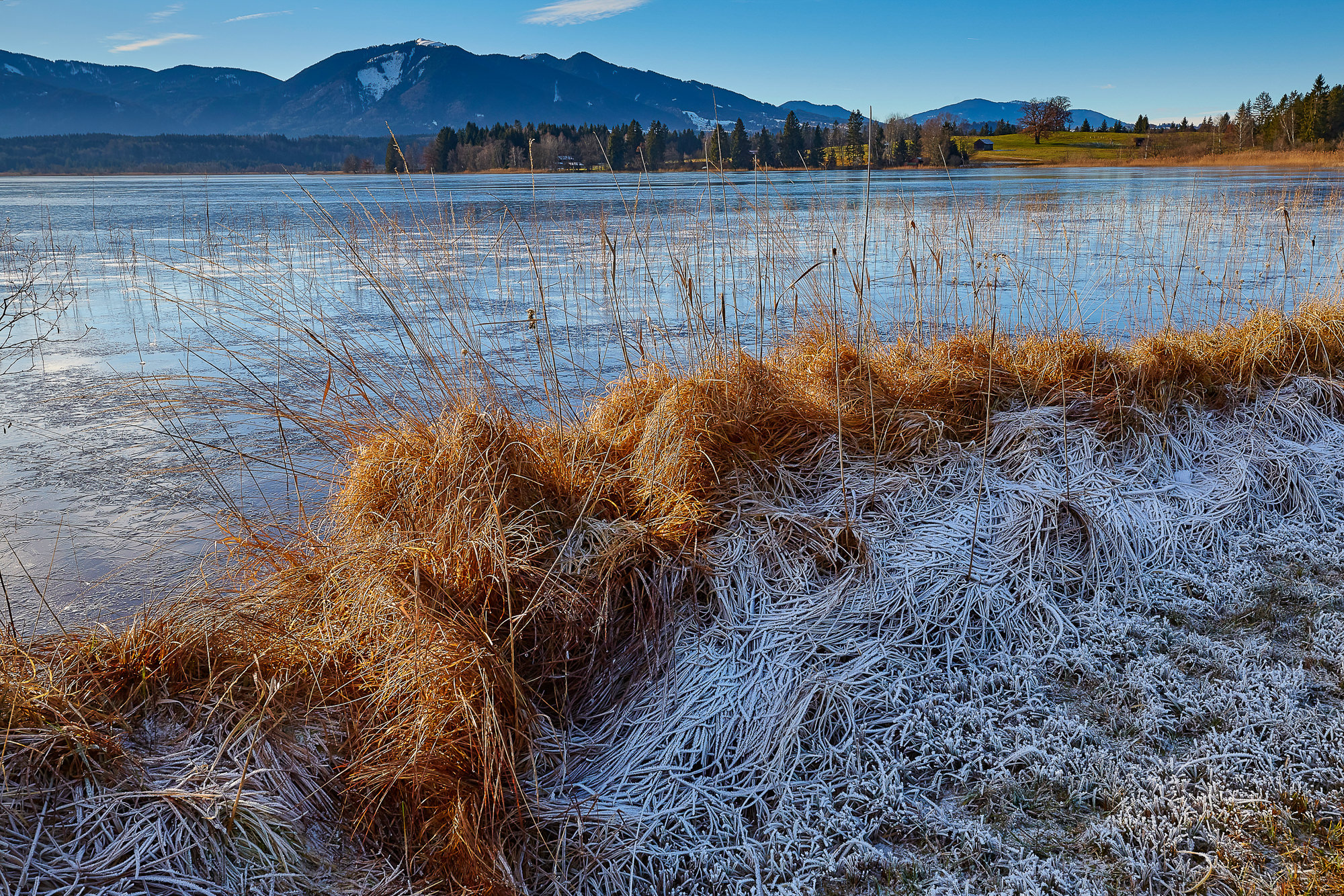 hoarfrost on lake Staffelsee